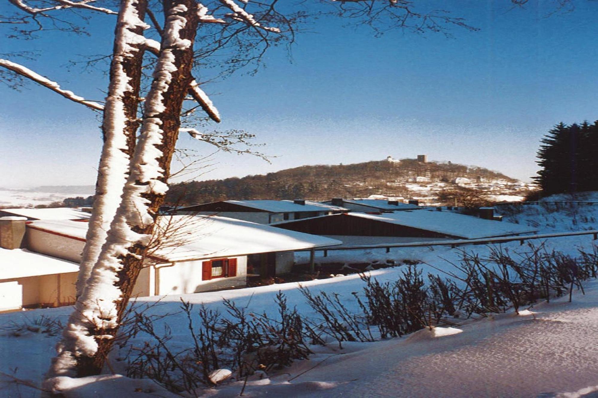 Ferienwohnung Im Ferienpark Falkenstein 팔켄슈타인 외부 사진
